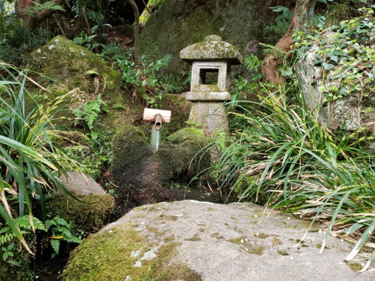 Moss-covered stone lantern and rocks surrounded by greenery in a Japanese garden