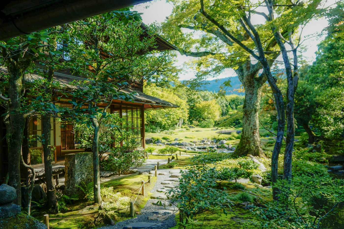 Sunlit traditional Japanese garden and wooden house in Kyoto