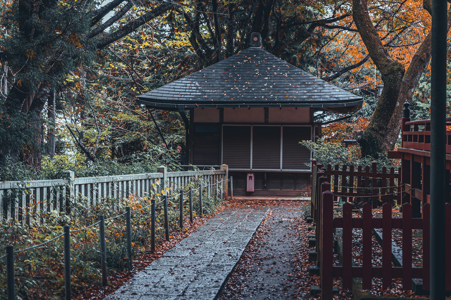 Fallen autumn leaves on a stone pathway leading to a traditional wooden building on Mount Takao, Japan